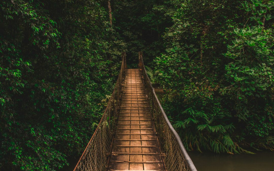 Neue Herausforderungen für Unternehmen und ihre Führungskräfte